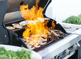 Bild 44775 von Haus Ultima Corfu