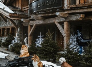 Bild 43950 von Haus Ultima Megève