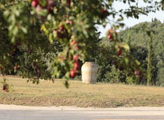 Bild 41328 von Haus Villa Giotto