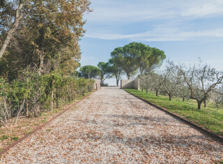 Bild 46146 von Haus Villa Alfano