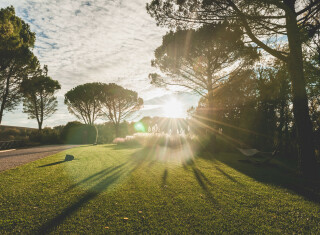 Bild 46155 von Haus Villa Alfano