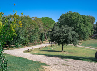 Bild 49473 von Haus Villa Castellani