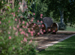 Bild 49476 von Haus Villa Castellani