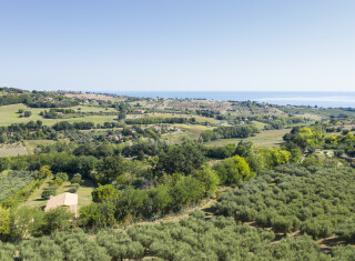 Bild 42913 von Haus Villa Oliveto