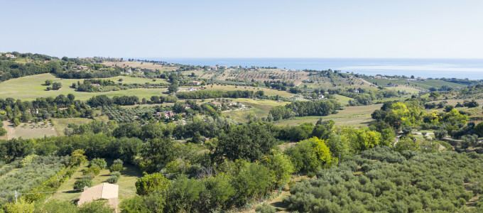 Bild 42913 von Haus Villa Oliveto