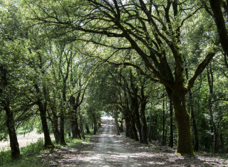 Bild 44821 von Haus Villa Stella