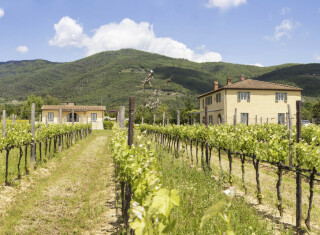 Bild 45027 von Haus Villa Casetta