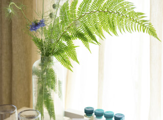 Bild 45034 von Haus Villa Casetta