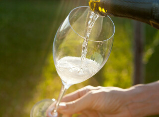 Bild 45396 von Haus Borgo Finocchieto