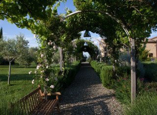 Bild 45403 von Haus Borgo Finocchieto