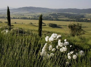 Bild 45420 von Haus Borgo Finocchieto