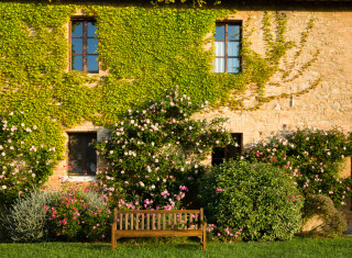 Bild 45446 von Haus Borgo Finocchieto