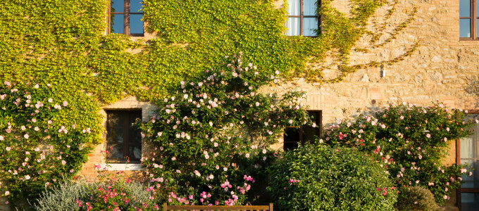 Bild 45446 von Haus Borgo Finocchieto