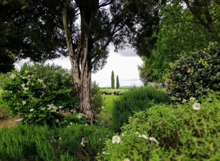 Bild 45455 von Haus Borgo Finocchieto