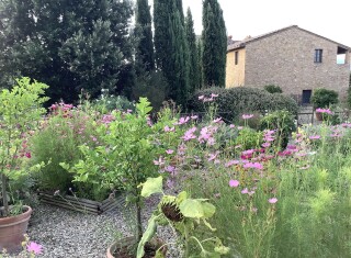 Bild 45473 von Haus Borgo Finocchieto