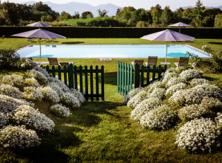 Bild 45486 von Haus Arancera di Villa Grabau