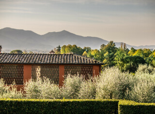 Bild 45487 von Haus Arancera di Villa Grabau