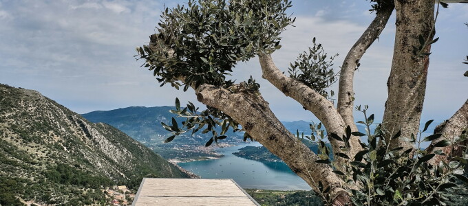 Bild 46607 von Haus Villa Morpheus