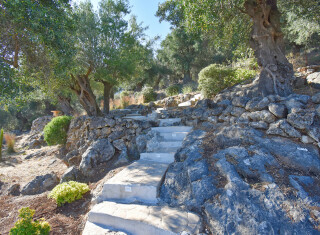 Bild 47647 von Haus Villa Heros