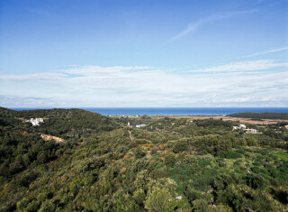 Bild 50175 von Haus Villa Orpheus