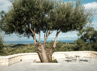 Bild 50182 von Haus Villa Orpheus