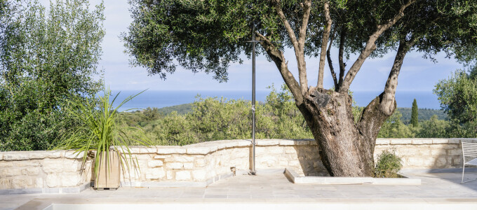 Bild 50221 von Haus Villa Orpheus