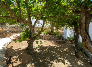 Bild 47886 von Haus Villa Montserrat