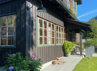 Bild 47968 von Haus Die Alte Blaa