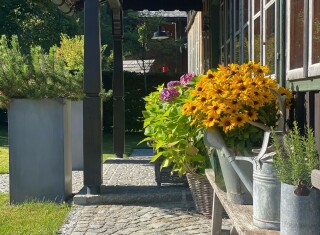 Bild 47969 von Haus Die Alte Blaa