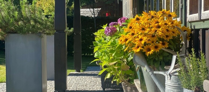 Bild 47969 von Haus Die Alte Blaa