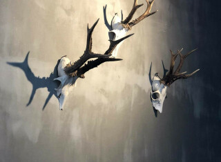 Bild 47988 von Haus Die Alte Blaa