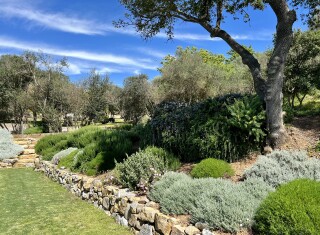 Bild 48343 von Haus Villa Divino