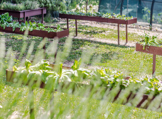 Bild 48384 von Haus Chateau La Siroque