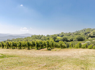 Bild 48402 von Haus Chateau La Siroque