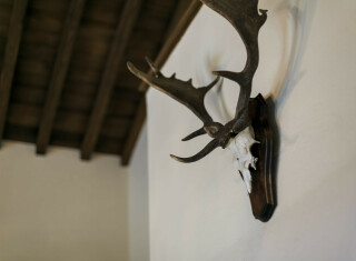 Bild 49627 von Haus Villa Maccari