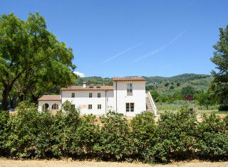 Bild 49737 von Haus Villa Virginia