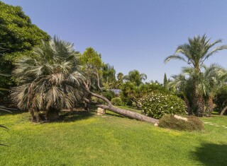 Bild 49837 von Haus Villa Aranjaya