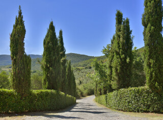 Bild 50431 von Haus Villa Tolani