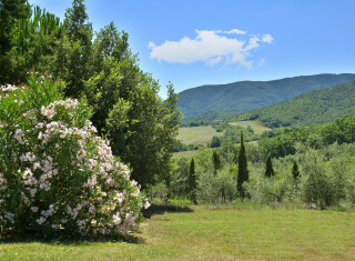 Bild 50435 von Haus Villa Tolani