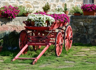 Bild 25779 von Haus Villa Franco