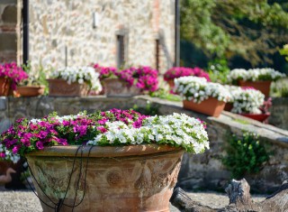 Bild 25781 von Haus Villa Franco