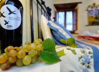 Bild 25800 von Haus Villa Franco