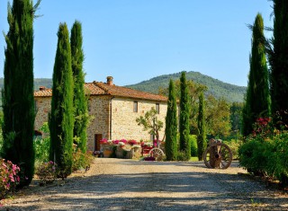 Bild 25842 von Haus Villa Franco