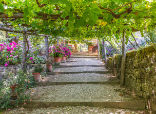 Bild 32961 von Haus Villa Poliziano