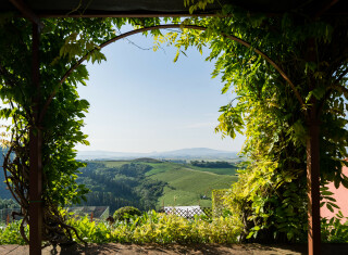 Bild 49302 von Haus Villa Spontini