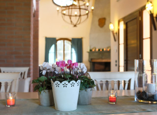 Bild 36968 von Haus Villa Pio