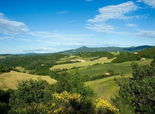 Bild 37202 von Haus Villa Eleonora