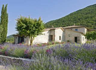 Bild 36041 von Haus Villa Sangallo