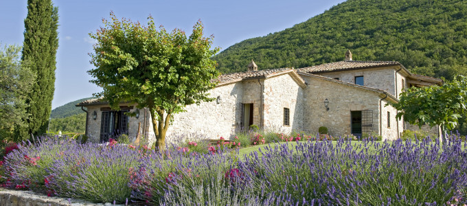 Bild 36041 von Haus Villa Sangallo