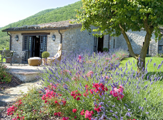 Bild 36042 von Haus Villa Sangallo